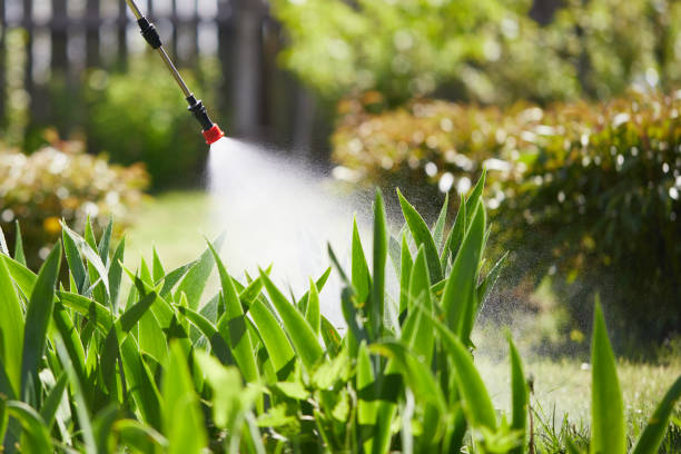 24/7 Emergency Termite Control experts in Uintah, UT